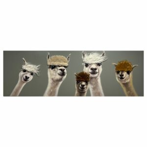 Tableau 5 Lamas